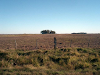 Exelente Campo En Lascano