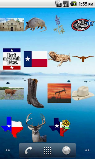 A Texas Thing Screen Widget