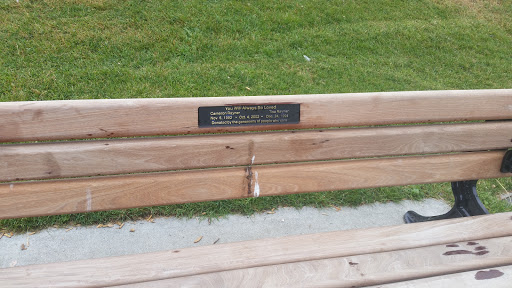 Rayner Memorial Bench