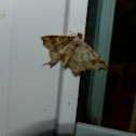 Common Angle