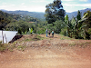 Lote Desamparados 2