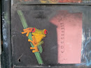 Frog Graffiti 