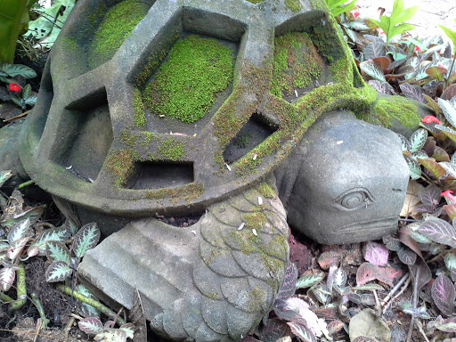 Mossy Stone Turtle