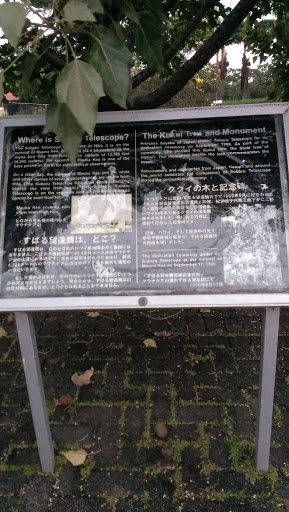 The Kukui Tree Plaque and Monument