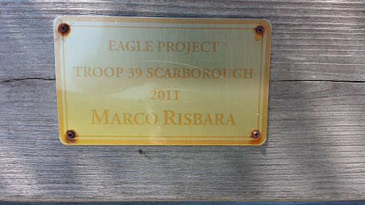 Marco Risbara Eagle Project
