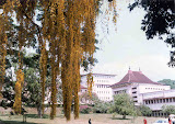 arts_garden1.jpg