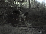 pic_0115.jpg
