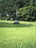 sss_0044.jpg