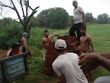 DSC06493.JPG