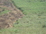 DSC04179.JPG