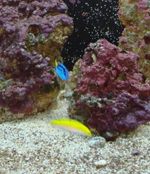 DSC00815crop