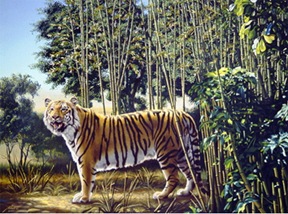 the_hidden_tiger_optical_illusion
