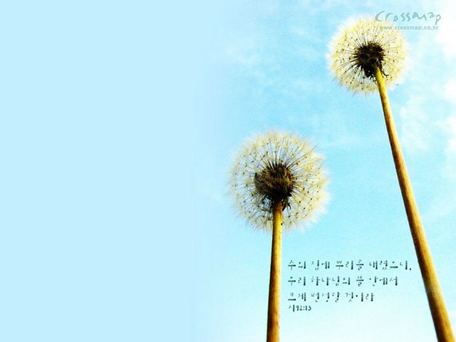[Christian-wallpaper-Bible-verses-04wallp11[8].jpg]