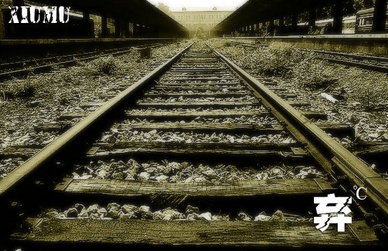 [d9265f3df9a2f810bba16714[1].jpg]