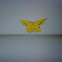 Geometrid Moth