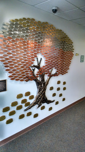 Charity and Donation Tree