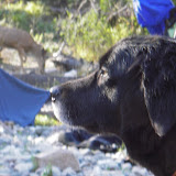 imgp1089.jpg