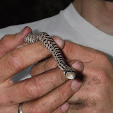 imgp1172.jpg