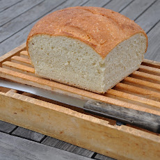 Barley and Wheat Germ Sandwich Bread