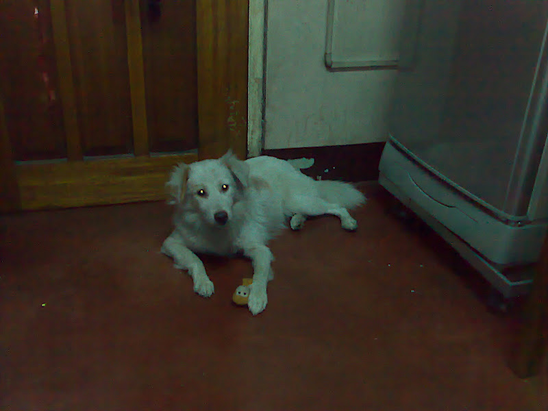 What's that you've got there?