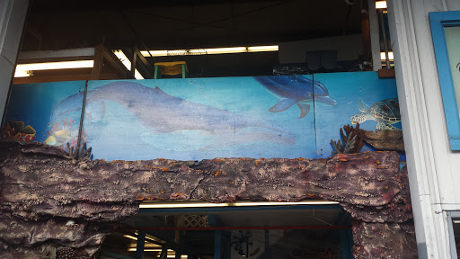 Coral Fish Hawaii Mural