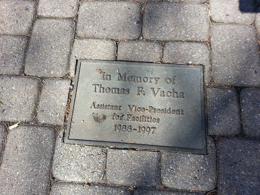 In Memory of Thomas F. Vacha