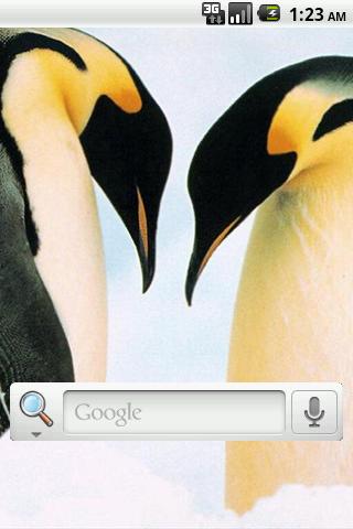 Penguins Live Wallpaper