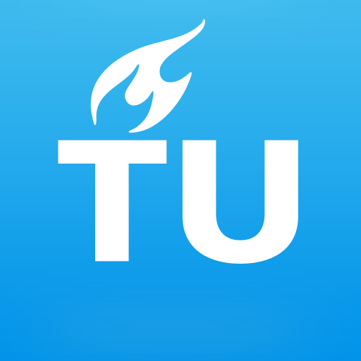 iTU Delft LOGO-APP點子