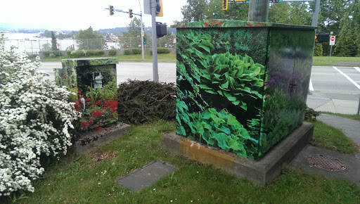 Two Artistic Electrical Boxes