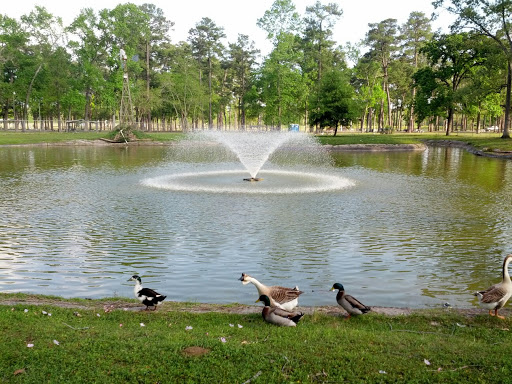Deussen Park Fountain