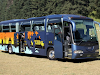 Renta De Autobuses