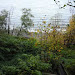 Gibsons - Sunshine Coast, BC Real Estate