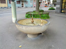 Zurich Fountain 