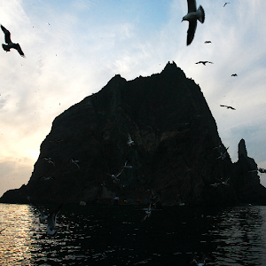 독도앱 - 독도는한국땅.apk 1.9