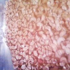 Mixed Nut Brittle