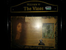 The Vines 