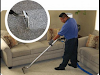 Servicio De Limpieza De Alfombras