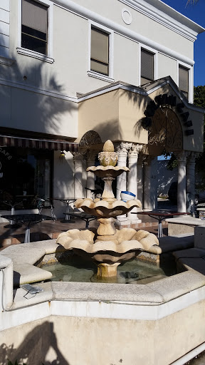 Dentist Plaza Fountain