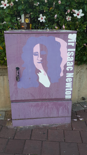 Purple Sir Isaac Newton On A Box