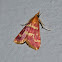 Raspberry Pyrausta