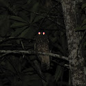 Unknown spotting