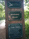 McKinley Woods Trail Marker and Bridge