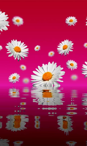 Floating Flowers Wallpaper