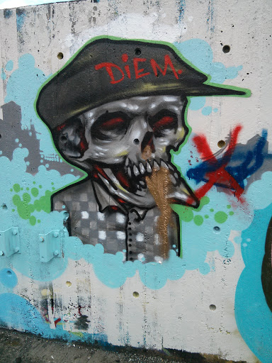 Street Art - The Skull