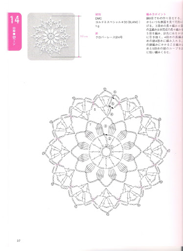 732116414424649582.jpg