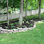 Zen978's Shade garden