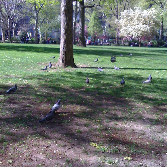 Spotting Image 1