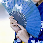 Japanese Kimono wafuku
