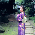 Japanese Kimono wafuku