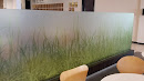Green Grass Glass Wall